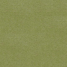 Ковролин Radici Abetone Verde 3138 фото 1 | FLOORDEALER